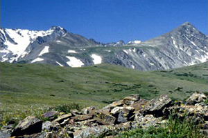 Niwot Ridge Tundra